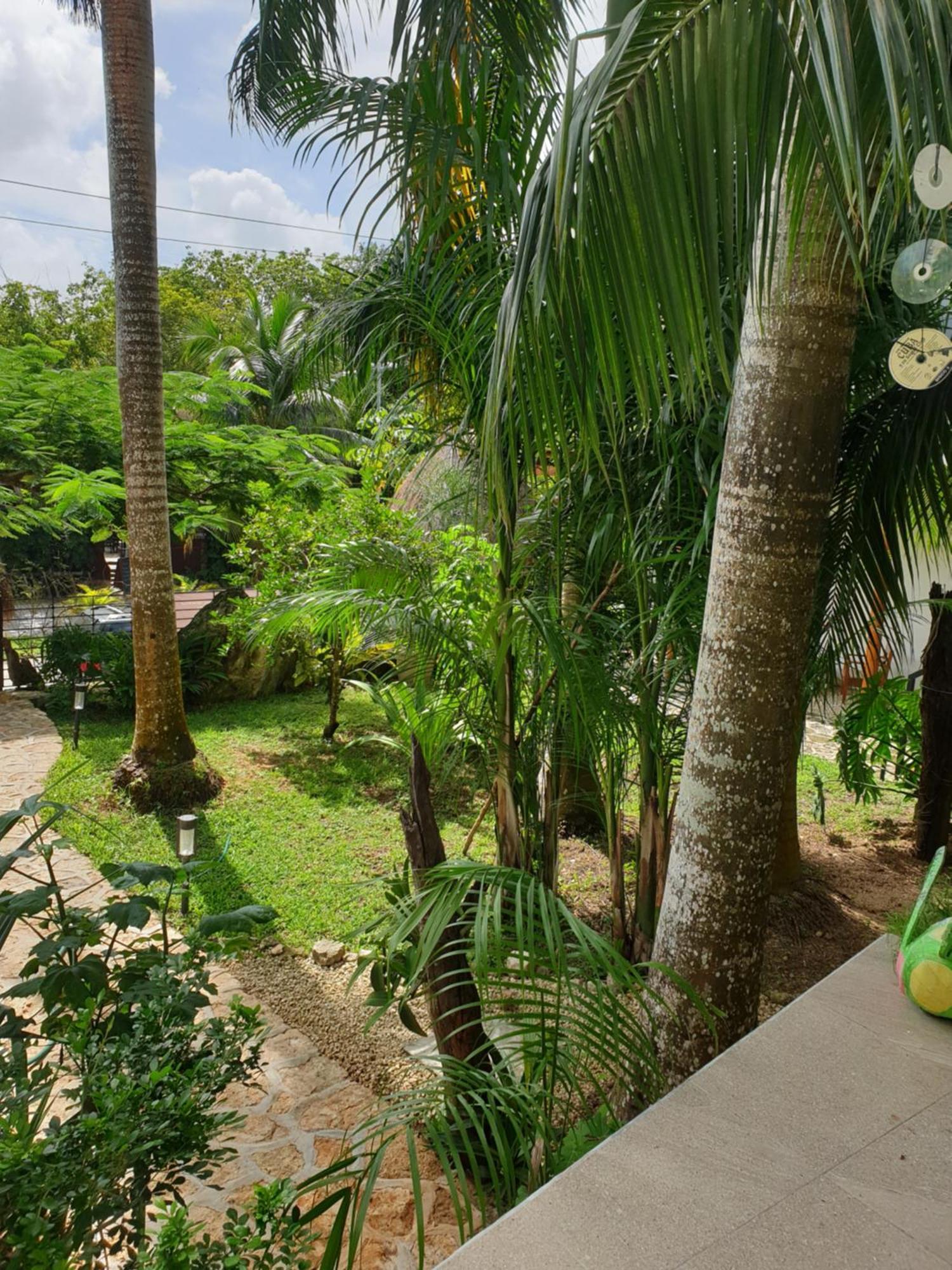 Camino Del Alma Apartments Bacalar Room photo